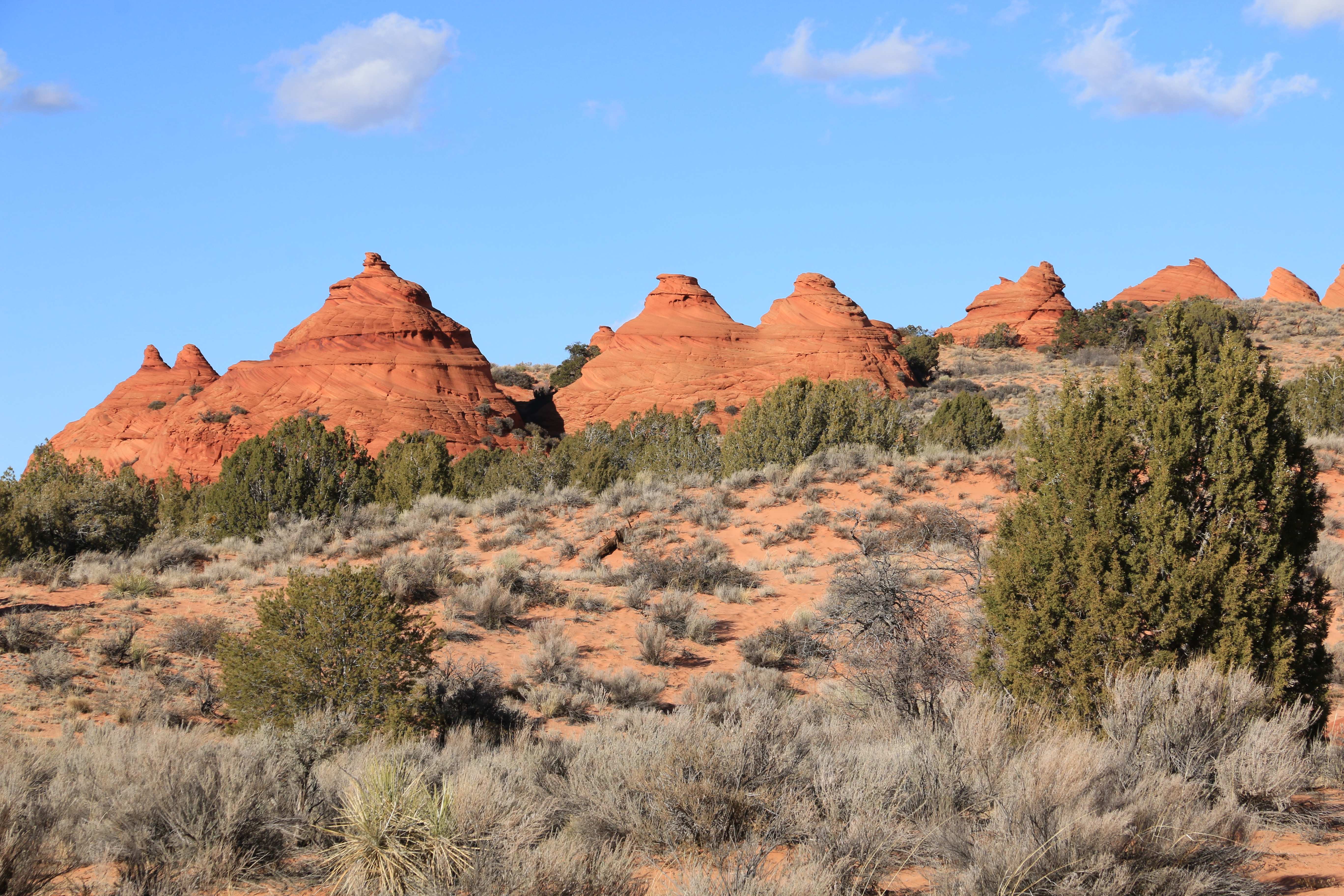Coyote Buttes